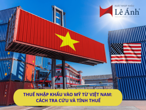 Thuế Nhập Khẩu Vào Mỹ Từ Việt Nam