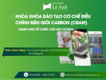 Khóa Đào Tạo Cơ Chế Điều Chỉnh Biên Giới Carbon (CBAM) Dành Cho Tổ Chức Cấp Độ Cơ Bản