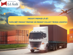 Freight Prepaid Là Gì
