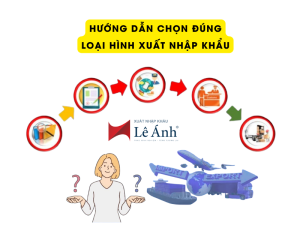 Hướng Dẫn Chọn Đúng Loại Hình Xuất Nhập Khẩu