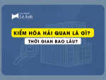 Kiểm Hóa Hải Quan Là Gì? Thời Gian Bao Lâu?