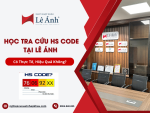 Học Tra Cứu HS CODE Tại Lê Ánh Có Thực Tế, Hiệu Quả Không?