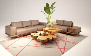 sofa-go-oc-cho-tu-nhien-12