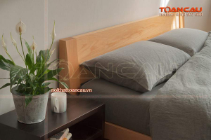 giuong-ngu-dep-re-255