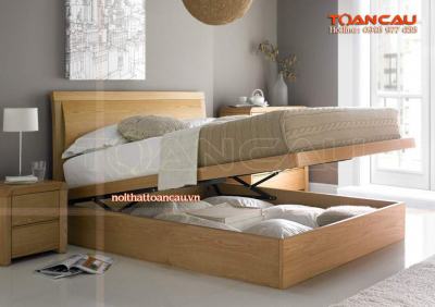 Giường đa năng cho người lớn - TC1196