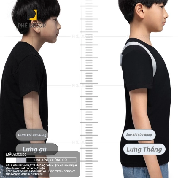 dai-chong-gu-dcg02-8