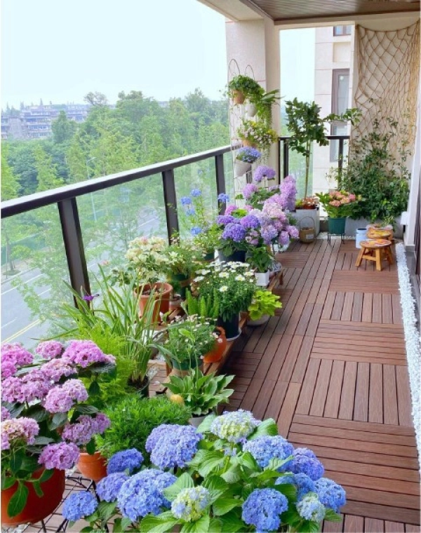 trang-tri-cay-canh-ban-cong