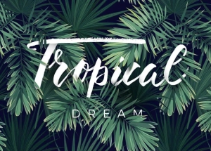 phong-cach-tropical-01