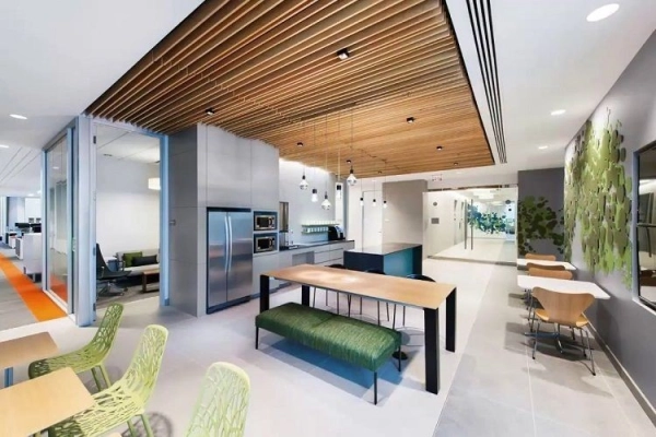 trang-tri-tran-nha-14