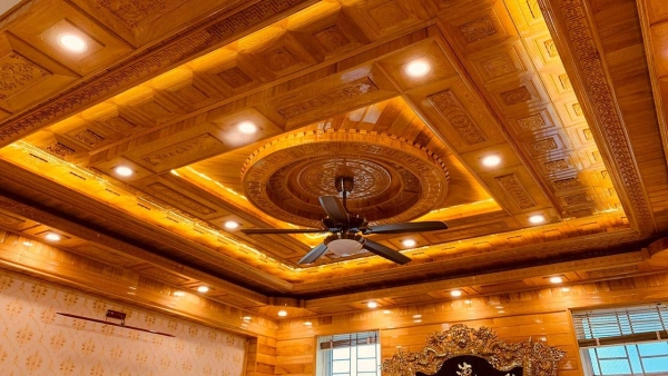 trang-tri-tran-nha-15