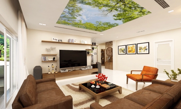 trang-tri-tran-nha-6