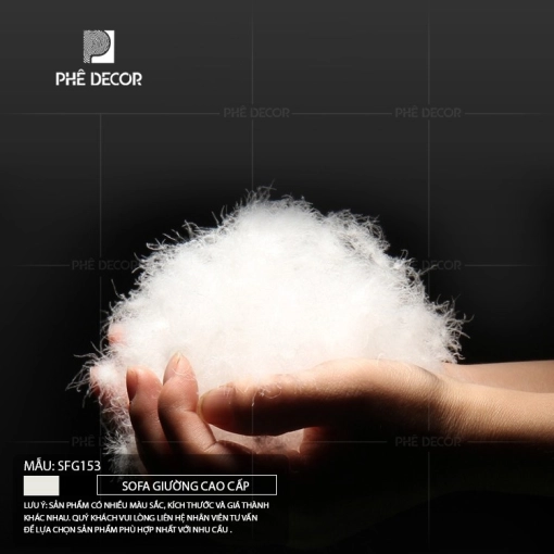 sofa-giuong-cao-cap-sfg153-11