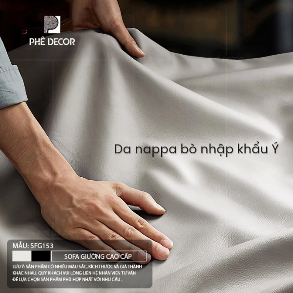 sofa-giuong-cao-cap-sfg153-9