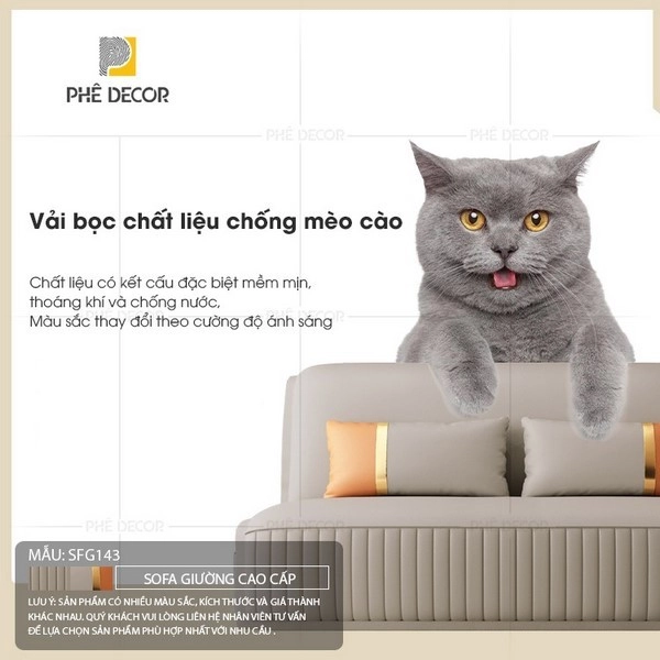 vai-meo-cao-04-copy