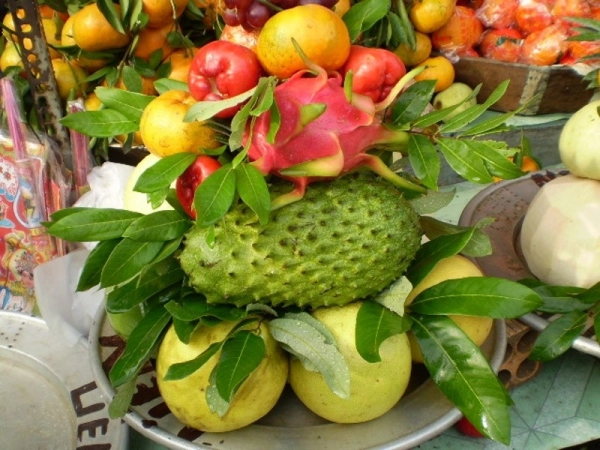 ve-nha-moi-nen-cung-trai-cay-gi-10