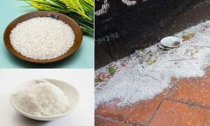 gao-muoi-cung-nha-moi-xong-lam-gi-01