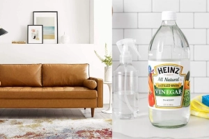 cach-lam-sach-ghe-sofa-trang-11