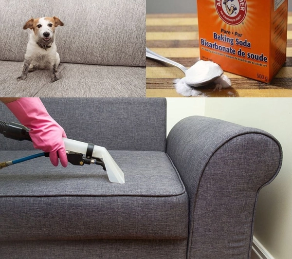 cach-lam-sach-ghe-sofa-trang-12