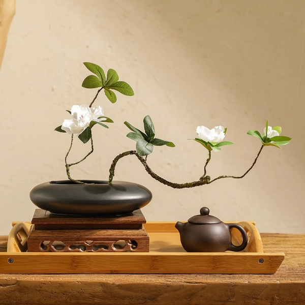 chau-bonsai-dep-17