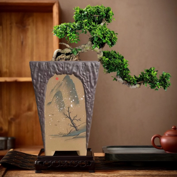 chau-bonsai-dep-22