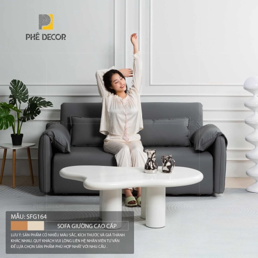 sofa-giuong-cao-cap-sfg164-17