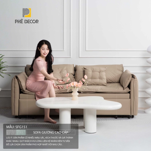 sofa-giuong-cao-cap-sfg151-23