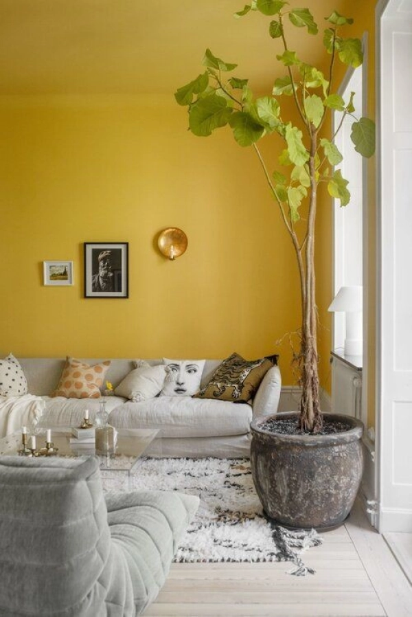 tuong-mau-vang-chon-sofa-giuong-gi-04