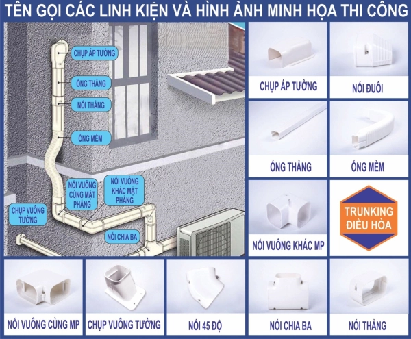 186099043-308043954254891-2707521873358000445-n-1