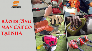 bao-duong-may-cat-co-1