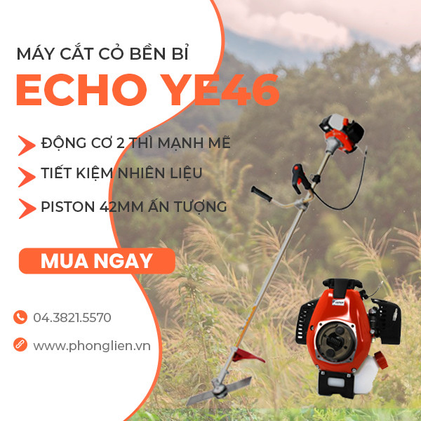 echo-ye46