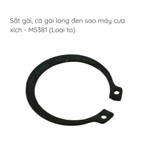 Cá gài long đen sao cưa xích - MS381 (Loại to)