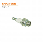 bugi-cua-2-thi-champion-usa-1