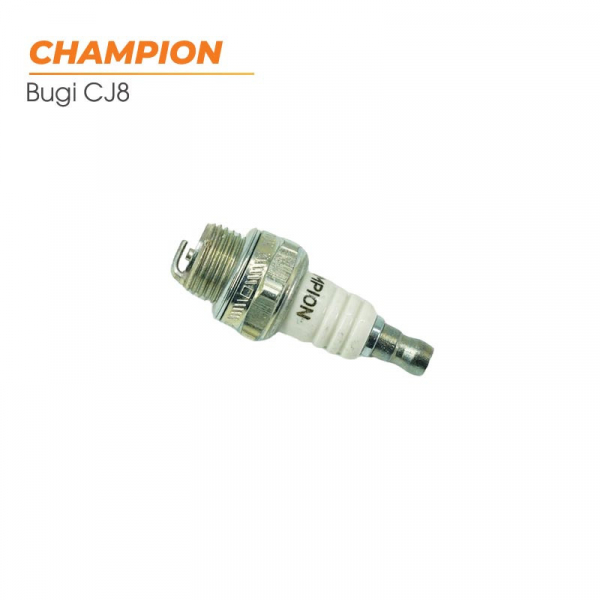 bugi-cua-2-thi-champion-usa-2