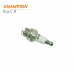 bugi-cua-2-thi-champion-usa-2