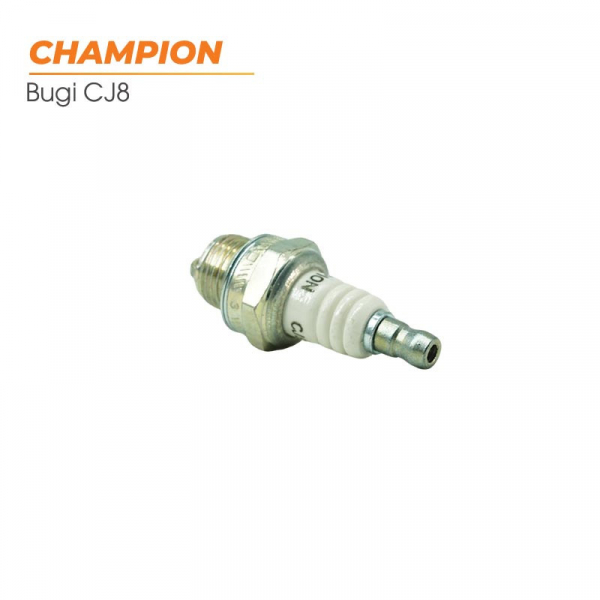 bugi-cua-2-thi-champion-usa-3