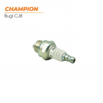 bugi-cua-2-thi-champion-usa-3