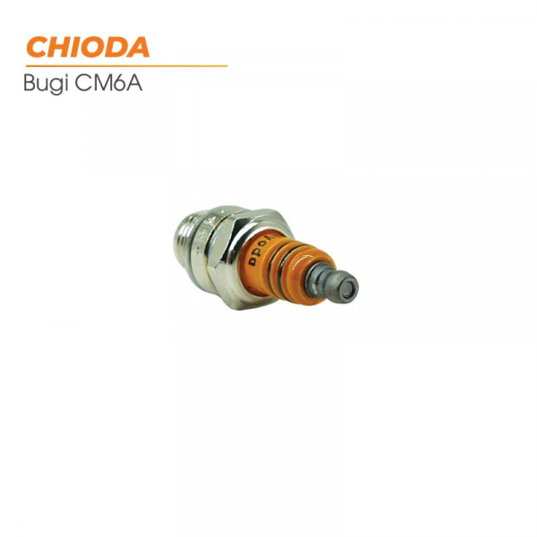 bugi-cua-cat-co-2-thi-chioda-cm6a-4