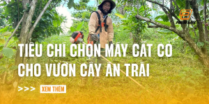 chon-may-phat-dien-cho-vuon-cay-an-trai