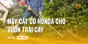 may-cat-co-honda-cho-vuon-trai-cay