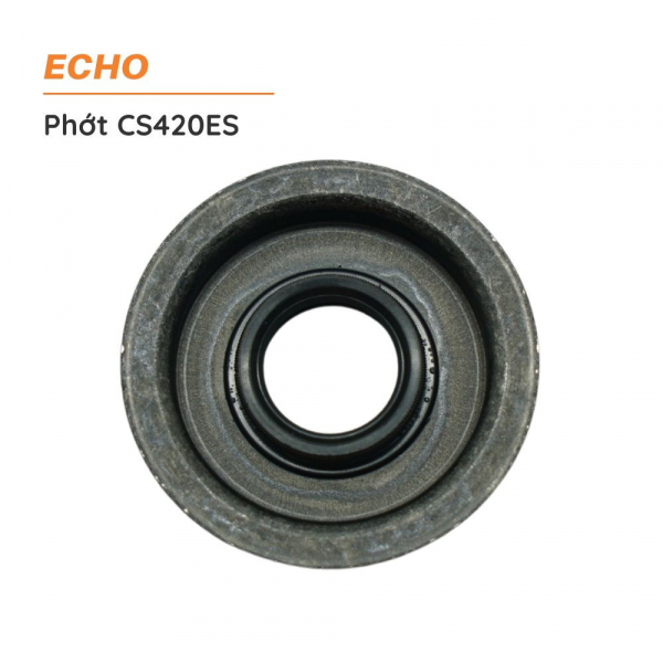 phot-may-cua-echo-cs420es-2