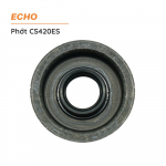 phot-may-cua-echo-cs420es-2