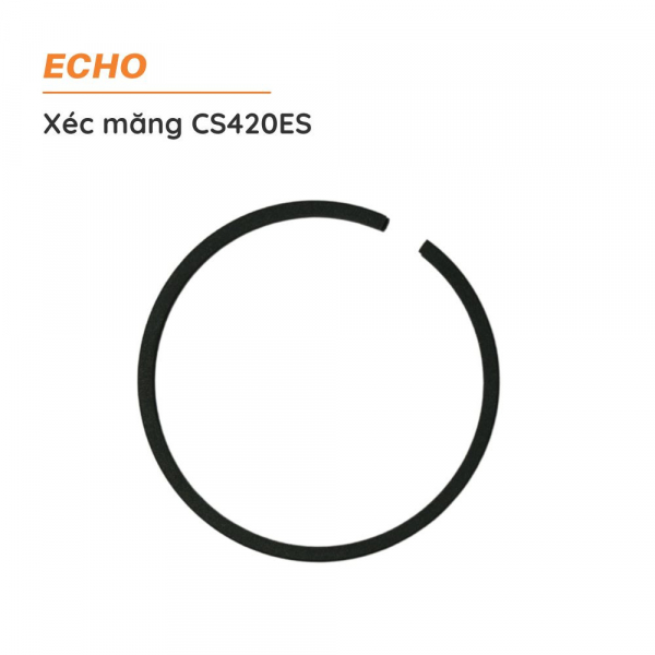 xec-mang-may-cua-echo-cs420es