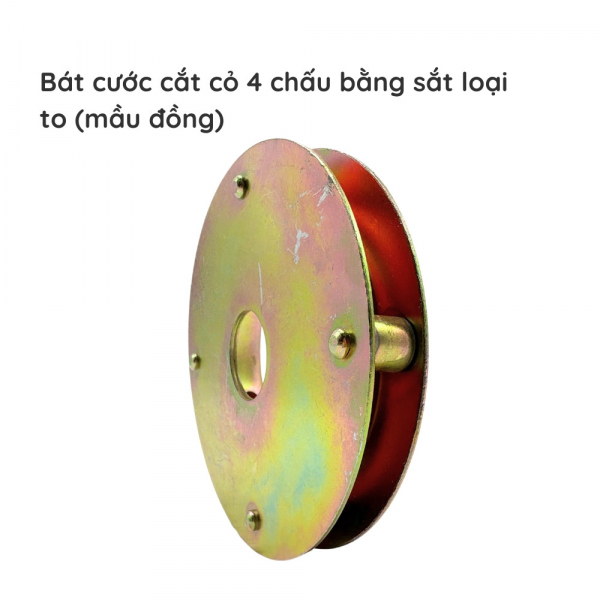 bat-cuoc-cat-co-4-chau-1