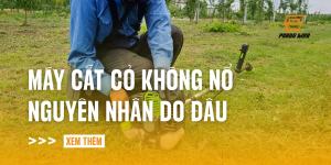 may-cat-co-khong-no-do-dau