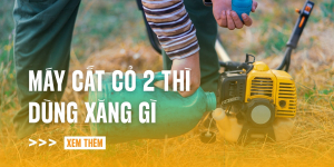may-cat-co-2-thi-dung-xang-gi