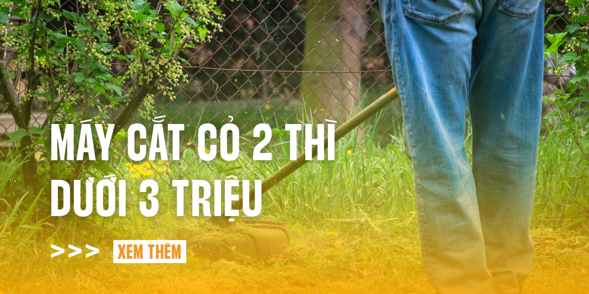 may-cat-co-2-thi-duoi-3-trieu