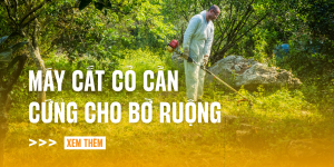 may-cat-co-can-cung-cho-bo-ruong