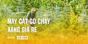 may-cat-co-chay-xang-gia-re