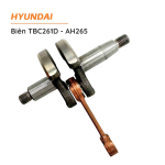 bien-tbc261d-ah265-3