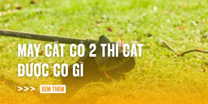 may-cat-co-2-thi-cat-duoc-co-gi